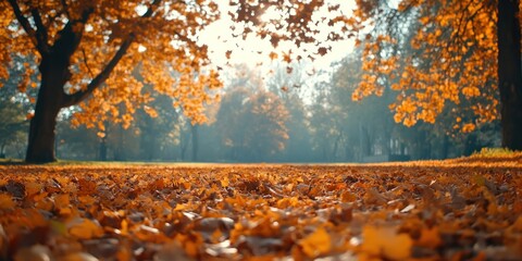 Wall Mural - Autumn background with orange fall leaves. Garden scene on fall season with bright shiny sun ray and maple tree
