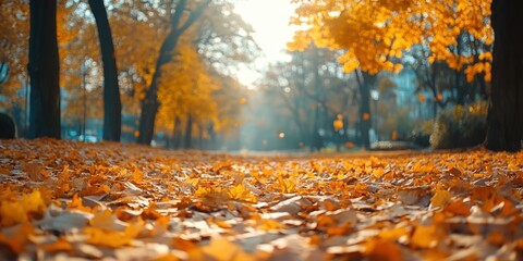 Wall Mural - Autumn background with orange fall leaves. Garden scene on fall season with bright shiny sun ray and maple tree