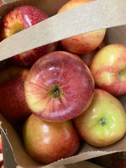 Wall Mural - apples in a paper bag