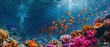 © Starkreal - Vibrant Coral Reef Teeming with Diverse Marine Species in Tropical Waters