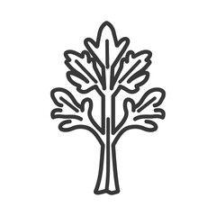 Wall Mural - Line Art Illustration of a Single Sprig of Parsley