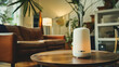 © Alina Tymofieieva - A modern aromatherapy diffuser releasing fragrant steam in a cozy living room setting during the daytime