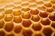 © River Girl - Close-up of honeycomb cells, showcasing the intricate hexagonal pattern created by bees.