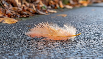 Canvas Print - A Single Brown Feather Resting on a Gray Pavement