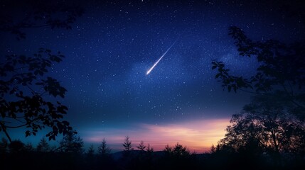 Wall Mural - starry night sky with a meteor streaking across the heavens