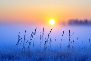 Stunning autumn sunrise over a foggy meadow. Hoar frost in the foreground and textured grass in the foreground. It is the dawn of October.