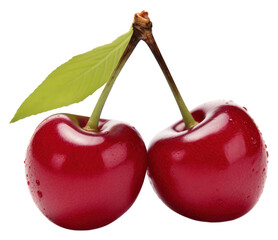 Wall Mural - PNG A cherry on the white background