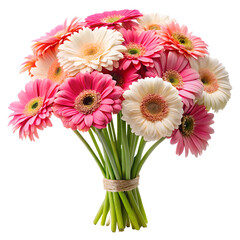 bouquet of gerbera flowers isolated on white