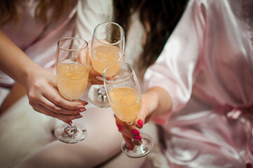 Elegant Celebration: Women Toasting with Sparkling Champagne in Silk Robes