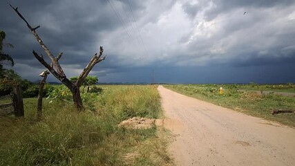 Sticker - road in the field