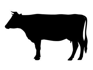 black silhouette of a horned cow on a white background, side view