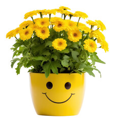 Sticker - PNG Smile flower plant vase.