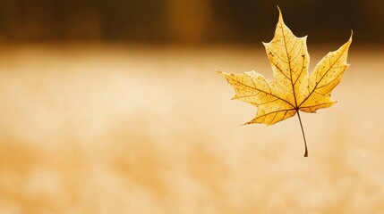 Wall Mural - Single Dry Autumn Leaf on a Blurry Brown Background