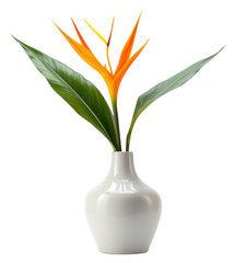 Canvas Print - PNG Flower plant leaf vase.