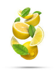 Poster - Fresh juicy lemons and green leaves falling on white background