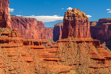 Canyon Landscape Background