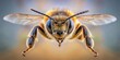 © Indigo Studio - Symmetrical of a honey bee attacking head-on