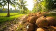 © Varunee - Coconut plantations, agriculture combined with ecotourism that educates tourists about the cultural and economic significance of coconuts.