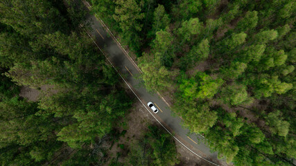 Poster - Aerial view of dark green forest road and white electric car Natural landscape and elevated roads Adventure travel and transportation and environmental protection concept
