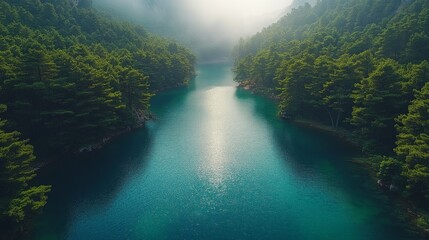 Wall Mural - Serene River Flowing Through Verdant Forest