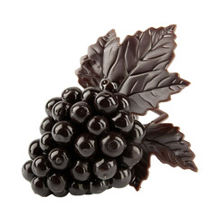 Wall Mural - Front view of a chocolate elderberry figurine isolated on a white transparent background