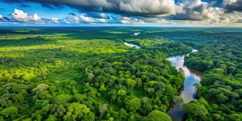 Aerial illustration of Amazon rainforest with areas of lush green foliage contrasted against vast swaths of cleared land and fragmented tree cover.