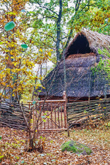 Poster - Gate to a longhouse with thatched roof in a forest glade in autumn