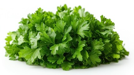 Wall Mural - Fresh Parsley Sprigs on White Background