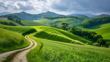 Dirt road through green fields