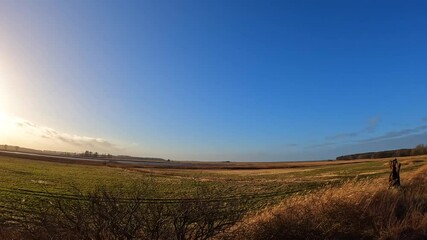 Wall Mural - time lapse blue sky sunny day green yellow field windy mecklenburg western pomerania germany.