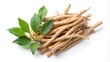 © methinee - Ayurvedic medicinal herb image featuring Ashwagandha roots and leaves on white background with reflection