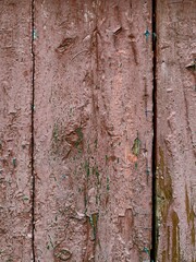 Vintage grunge old aged boards, old peeling paint, rustic weathered tree branch, wood slice, old peeling paint, wood bark, logs, paper background