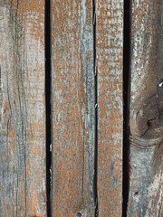 Vintage grunge old aged boards, old peeling paint, rustic weathered tree branch, wood slice, old peeling paint, wood bark, logs, paper background