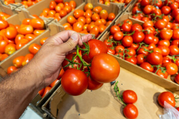 A person is holding a tomato in a store