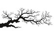 © The Illustraitor - Tree branches silhouette isolated on white background. Vector illustration forest design and element landscape season. Autumn clip art and decoration abstract outdoor