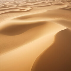 sand dunes in the desert