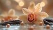 © furyon - delicate vanilla orchid in bloom its creamy petals unfurled beside aromatic vanilla pods soft focus highlights the flowers intricate details and the spices rich warm tones