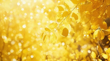 Sticker - Golden Autumn Leaves Bokeh Background