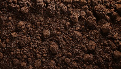 Fertile soil texture background seen from above, top view. Gardening or planting concept with copy space. Natural pattern