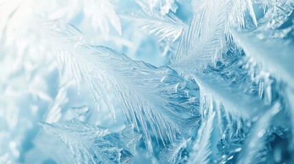 Sticker - Close-up of intricate ice crystals showcasing natural frost patterns.