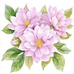 Wall Mural - Isolated watercolor illustration of Flowers Chrysanthemums for design of invitations, movie posters, fabrics, and other objects. Set of four.