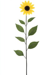 Wall Mural - Watercolor illustration of a yellow sunflower branch, Helianthus annuus (also known as sunflower).