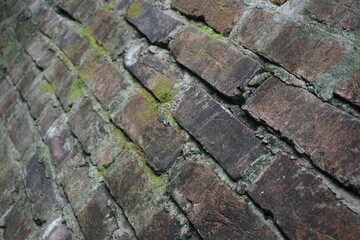 Green moss brick layer closeup view texture background, A bunch of green moss grown on a damaged brick wall, Mossy Weathered backdrop