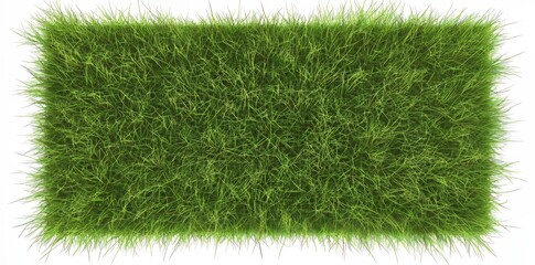 Wall Mural - 3D rendering of small surface covered with grass, grass podium, lawn background