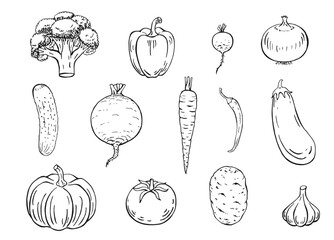 Wall Mural - Set of vegetables. Hand drawn garden vegetable collection.