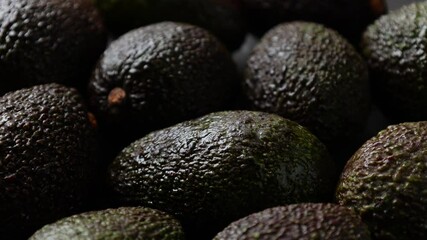 Wall Mural - avocado on a plate