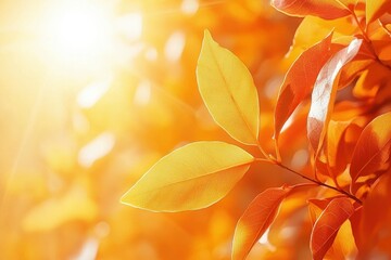 Sticker - Golden Leaves with Sunlit Veins and a Blurred Background