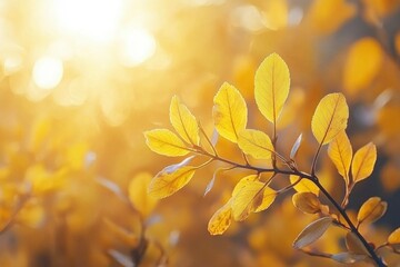 Sticker - Golden Autumn Leaves in Sunlight with Bokeh Background