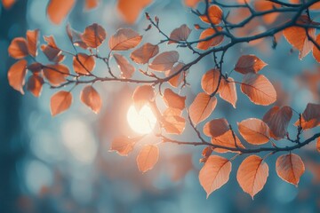 Wall Mural - Delicate Autumn Leaves Against a Blurry Blue Sky