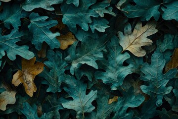 Poster - Close-Up of Dark Green and Brown Oak Leaves